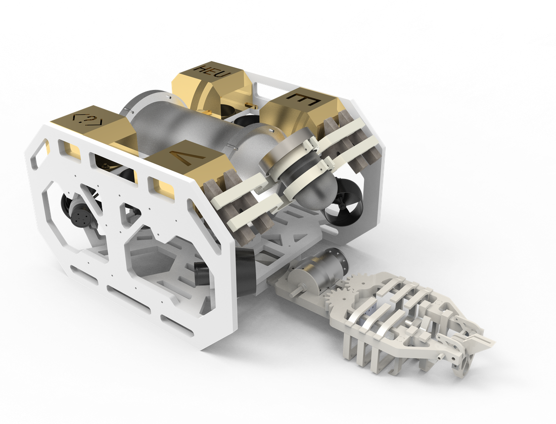 ROV 海翎实拍